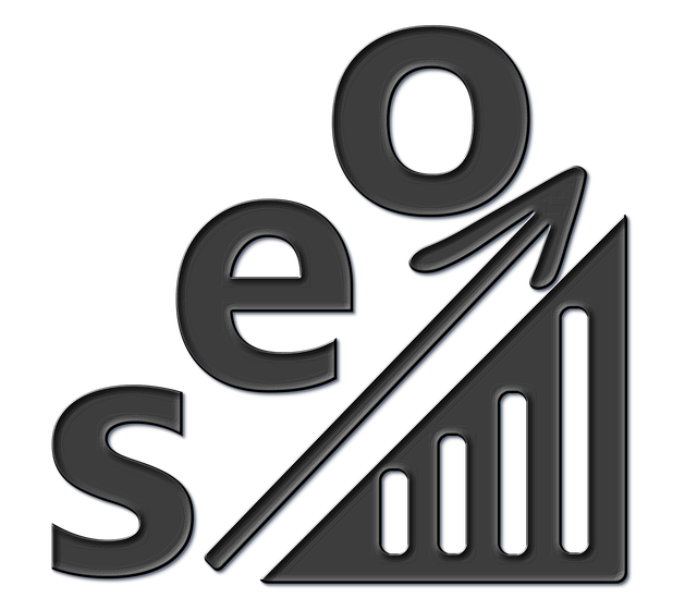 A SEO101 csapata sikerre viszi a weboldalát